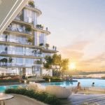 DLRC Projects
